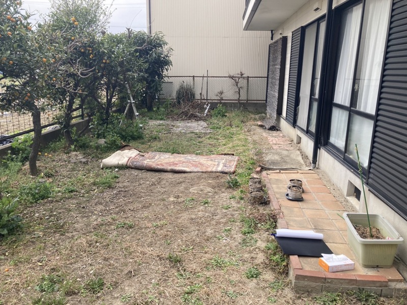 37e8196d-241d-4c3d-9b2c-5b39cb6a725c